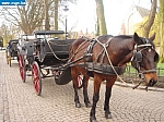 PB-GB 015.jpg